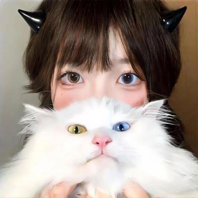 里约大冒险